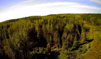 Tbd Forest Road 200, Buyck, MN 55771