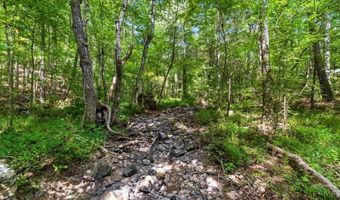 13 Elkhorn, Adairsville, GA 30103