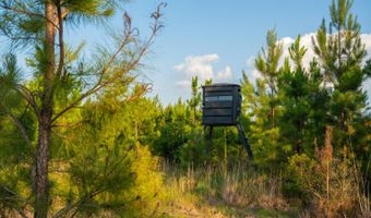 Mann Road 2, Arabi, GA 31712