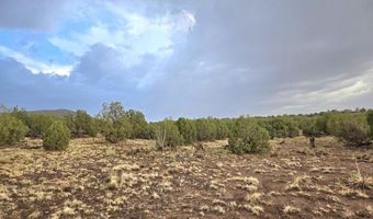 Pinon Valley Ranch lot 9, Concho, AZ 85924