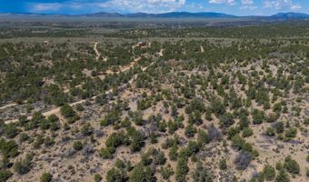 Spanish Peaks Drive, Arroyo Hondo, NM 87513