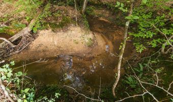 0 Brooksie Thompson Rd, Bath Springs, TN 38311