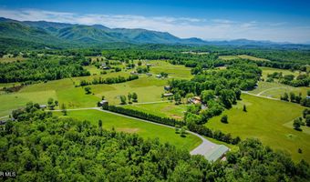 705 Union Chapel Rd, Afton, TN 37616