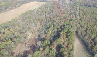 Holloway Landing Road, Barlow, KY 42024