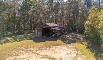 306 Travis Pless Rd, Alto, GA 30510