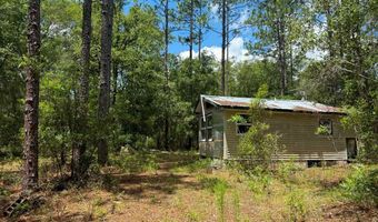 6339 NW 17th Ct, Bell, FL 32619