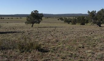Juniperwood Ranch lot 52, Ash Fork, AZ 86320