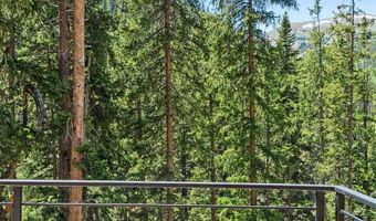 301 Quandary Rd, Breckenridge, CO 80424