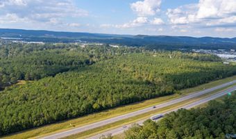77 Acres Wilson St, Attalla, AL 35954