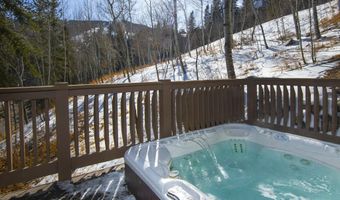 1120 Village Road 8, Beaver Creek, CO 81620