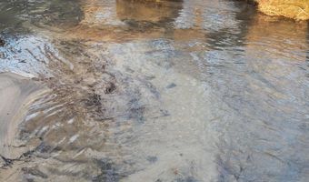 1693 Steve Brown Rd, Bean Station, TN 37708