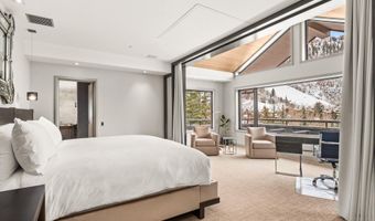 730 S Galena St, Aspen, CO 81611