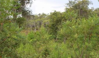 21558 NW Lake Mckenzie Blvd, Altha, FL 32421