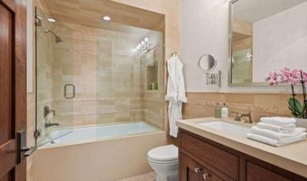 719 E Hopkins Ave 202, Aspen, CO 81611