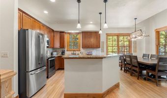 50 COONEY Ct, Blue River, CO 80424