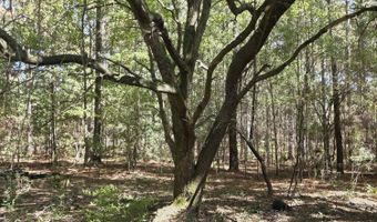 2862 Wallace Dr, Bogue Chitto, MS 39629