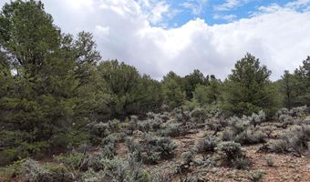 Unk Sandia Canyon Rd, Arroyo Hondo, NM 87513