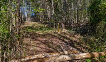 Back Nine Drive lot 13, Baneberry, TN 37890
