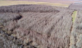 6075 Curtis Rd, Batesville, MS 38606