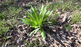 Bogue Chitto Road, Bogue Chitto, MS 39629
