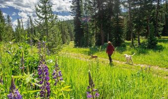 Trout Pond Lane lot 7, Big Sky, MT 59716