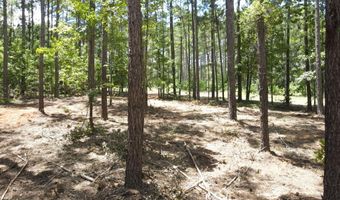 Lot 6 Lighthouse Point, Lincolnton, GA 30817