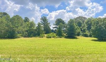 3945 Old Trezevant Rd, Atwood, TN 38220