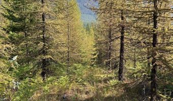 Tract 6 USFS 2294, Clark Fork, ID 83811