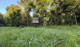 000 Jasmine Ave, Atlanta, MO 63530