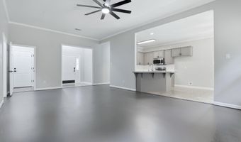 1009 Katy Ln, Alexander, AR 72002