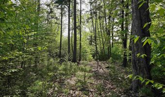 Province Road lot 26, Belmont, NH 03220