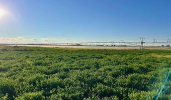 Hwy 32, Byron, WY 82412