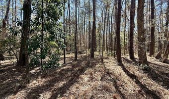 0 Lot 2 Creek Place Rd, Arapahoe, NC 28510