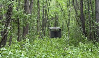 27350 H Dr N, Albion, MI 49224