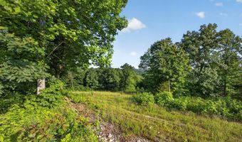 2 26 AC Hidden Cove Ln Lot 1, Allons, TN 38541
