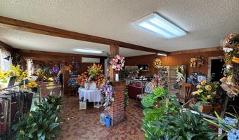 161 Blackshear Hwy, Baxley, GA 31513