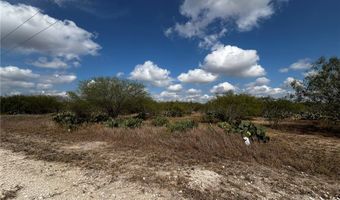 Fm-625 lot 0, Alice, TX 78332