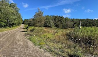 Lynch Road, Alfred, NY 14806