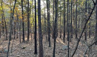 0 E 1912 Rd, Antlers, OK 74523