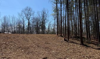 MOUNTAIN CUT RD lot C, Appomattox, VA 24522