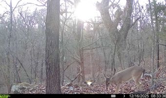 0001 E 1485 Rd, Allen, OK 74825