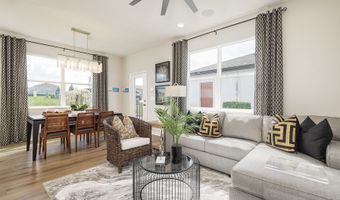 386 Lady Palm St, Apopka, FL 32703