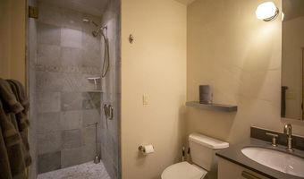 231 Robinson Street 330, Basalt, CO 81621