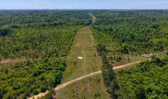 County Road 38, Autaugaville, AL 36003
