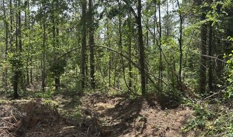 County Road 244 Tract A, Abbeville, MS 38601