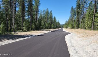 NNA Lot 4 TJ Trail, Athol, ID 83801