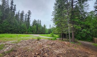 13376 Bug Creek Rd, Bigfork, MT 59911