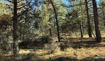Bunting Drive, Bonanza, OR 97623