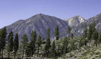 Kingsbury Grade, Gardnerville, NV 89460