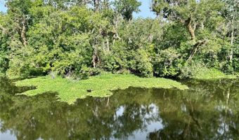 23733 BASIN Dr, Astor, FL 32102